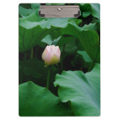 Porte-bloc Bientôt florissante (Devant)