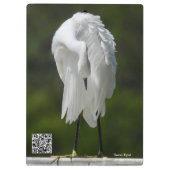 Porte-bloc Birding.Photos Porte - bloc (Dos)