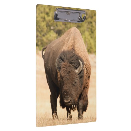 Porte-bloc Bison (Swatch)