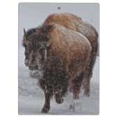 Porte-bloc Bison de Yellowstone (Dos)