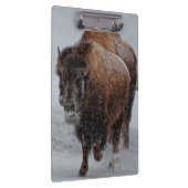 Porte-bloc Bison de Yellowstone (Swatch)