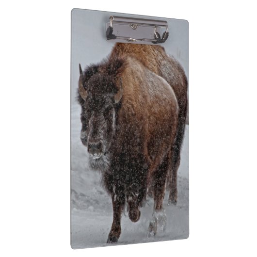 Porte-bloc Bison de Yellowstone (Swatch)