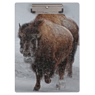Porte-bloc Bison de Yellowstone