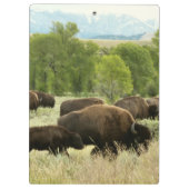 Porte-bloc Bisons du Wyoming (Dos)