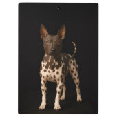 Porte-bloc Black 4 Luxe Clipboard, Hairless Terrier Dog (Dos)