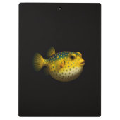 Porte-bloc Black 4 Luxe, Poisson-globe jaune (Dos)