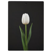Porte-bloc Black 4 Luxe, Tulipe blanche perle (Dos)