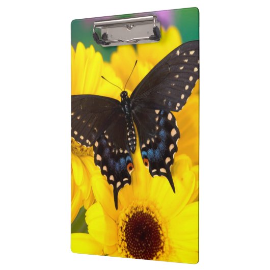 Porte-bloc Black Swallowtail (Gauche)