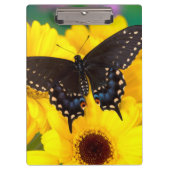 Porte-bloc Black Swallowtail (Devant)