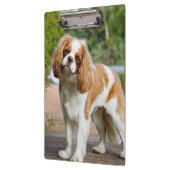 Porte-bloc Blenheim Cavalier King Charles Spaniel Chien (Gauche)