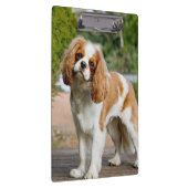 Porte-bloc Blenheim Cavalier King Charles Spaniel Chien (Swatch)