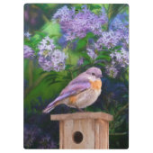 Porte-bloc Bleuet de l'Est en neige - Photo originale (Dos)