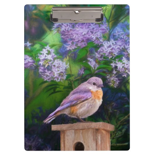 Porte-bloc Bleuet de l'Est en neige - Photo originale (Devant)