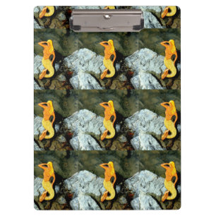 Porte-bloc blonde lookout mermaids
