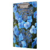 Porte-bloc Blue Lacecap Hydrangea Floral (Gauche)