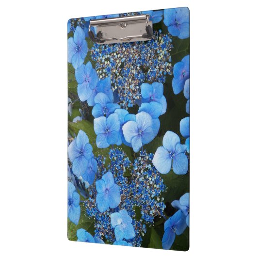 Porte-bloc Blue Lacecap Hydrangea Floral (Gauche)