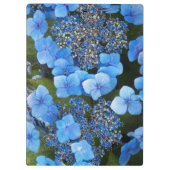 Porte-bloc Blue Lacecap Hydrangea Floral (Dos)