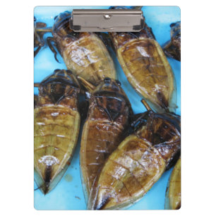 Porte-bloc Bogue d'eau géante frite (Maeng Daa) ... Alimentat