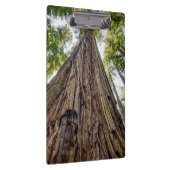 Porte-bloc Bois de Roosevelt (Swatch)