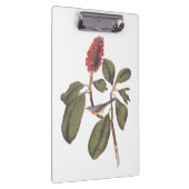 Porte-bloc Bonaparte Moucherolle Canada Paruline Audubon Oise (Swatch)