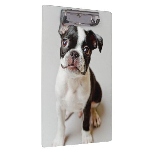 Porte-bloc Boston Terrier (Swatch)