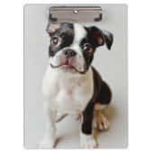 Porte-bloc Boston Terrier (Devant)