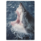 Porte-bloc Bouche de requin élevée ouverte (Dos)