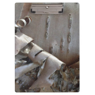 Porte-bloc Bouleau courbe écorce rustique