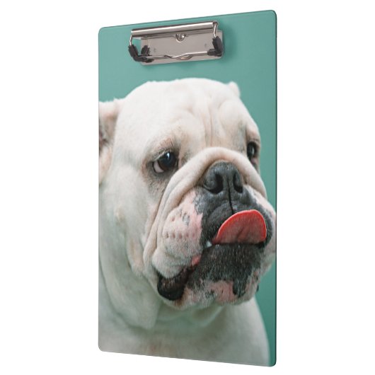 Porte-bloc Bouledogue (Gauche)