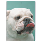 Porte-bloc Bouledogue (Dos)