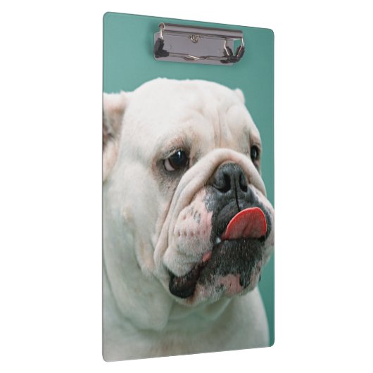 Porte-bloc Bouledogue (Swatch)