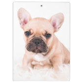 Porte-bloc Bouledogue français (Dos)
