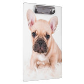 Porte-bloc Bouledogue français (Swatch)