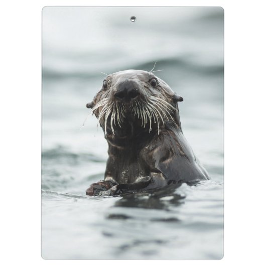 Porte-bloc Bouton (Dos)