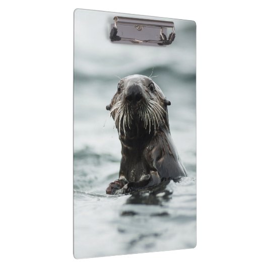 Porte-bloc Bouton (Swatch)