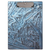 Porte-bloc Bouts : Bleu (Devant)