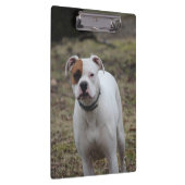 Porte-bloc Boxer (Swatch)