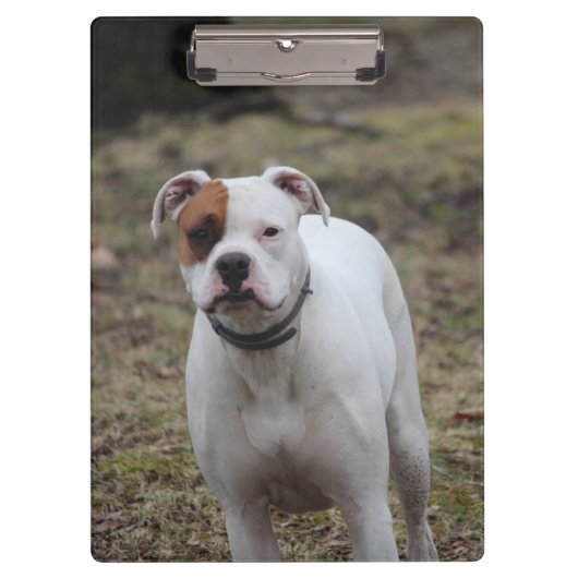 Porte-bloc Boxer (Devant)