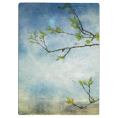 Porte-bloc Branche d'arbre au-dessus de ciel texturisé (Dos)