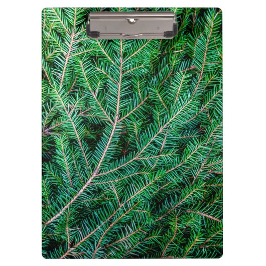 Porte-bloc Branche du sapin (Devant)