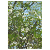 Porte-bloc Branche of Dogwood Blossoms Spring Trees (Dos)