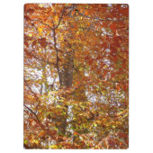 Porte-bloc Branches de la nature d'automne Feuille orange (Dos)