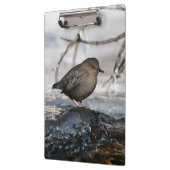 Porte-bloc Brave American Dipper (Gauche)