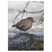 Porte-bloc Brave American Dipper (Dos)