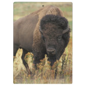 Porte-bloc Buffalo (Dos)