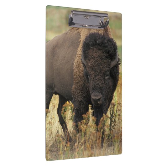 Porte-bloc Buffalo (Swatch)