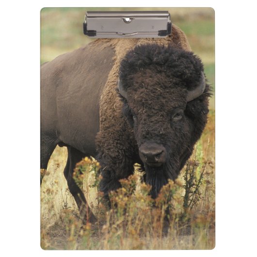 Porte-bloc Buffalo (Devant)