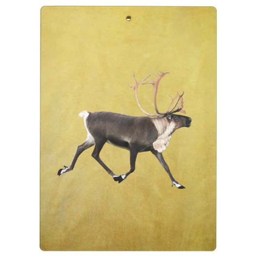 Porte-bloc Bull Caribou (Dos)