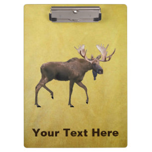 Porte-bloc Bull Moose