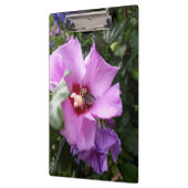 Porte-bloc Bumblebebe sur la fleur d'Hibiscus (Gauche)